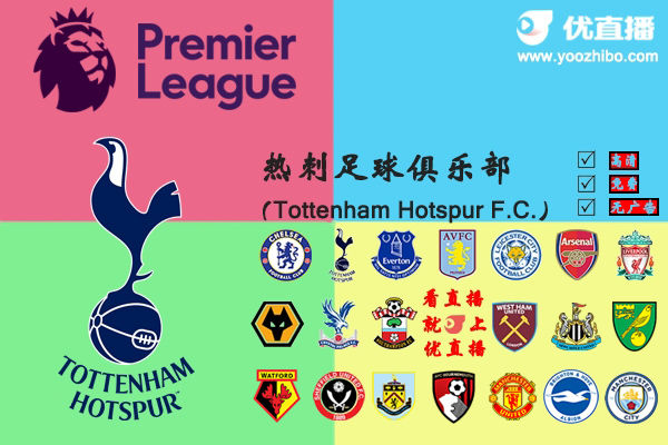 2019-20赛季<a href=/zuqiumf/hotspur/ target=_blank class=infotextkey>热刺</a>阵容名单一览