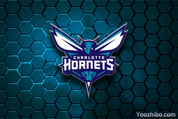 2019-2020赛季<a href=/lanqiumf/hornets/ target=_blank class=infotextkey>黄蜂</a>队队徽
